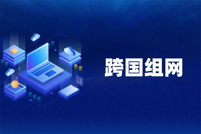 适合跨国企业的组网方案
