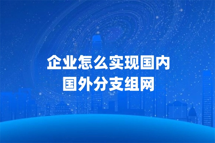 企业怎么实现国内国外分支组网