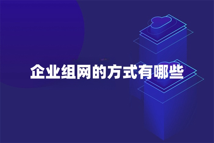 企业组网的方式