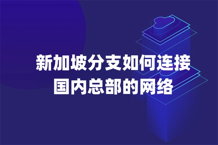 新加坡分支如何连接国内总部的网络