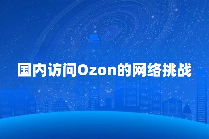 国内访问Ozon很卡怎么办