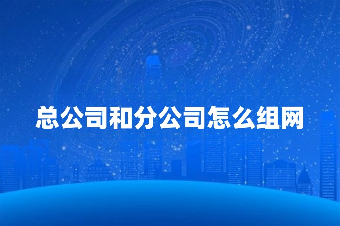 总公司和分公司怎么组网