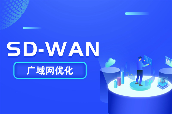 电信SD-WAN申请流程