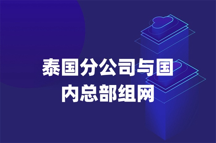 泰国分公司与国内总部组网