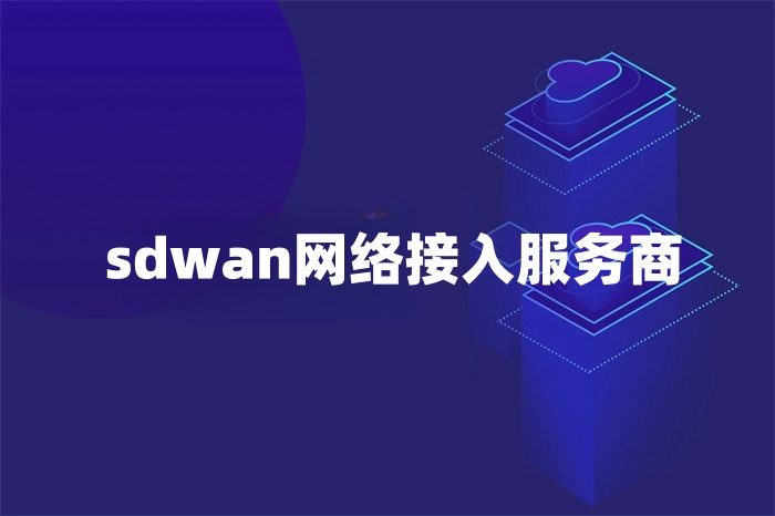 sdwan网络接入服务商