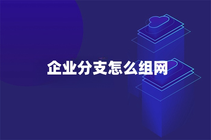 企业分支怎么组网