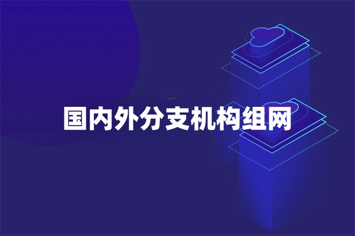国内外分支机构组网