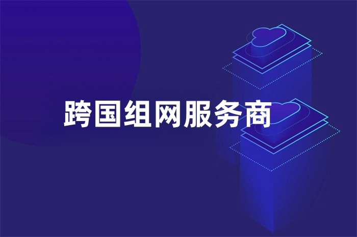 跨国组网服务商