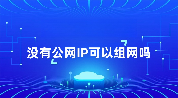 没有公网IP可以组网吗
