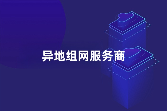 异地组网服务商