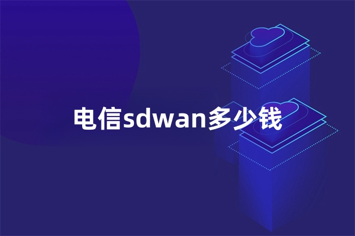 电信sdwan多少钱