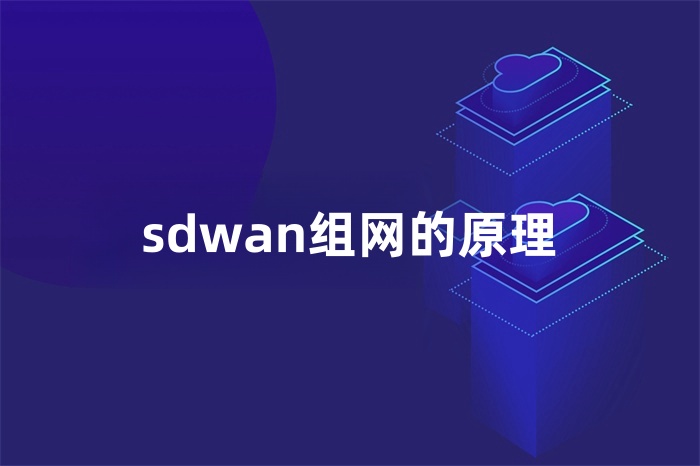 sdwan组网的原理