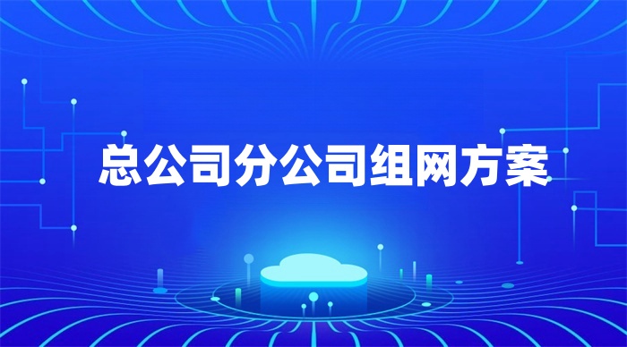 总公司分公司组网方案