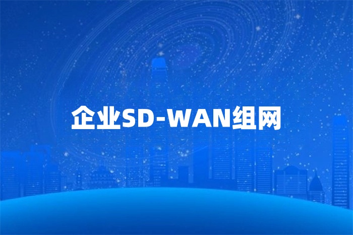 企业SD-WAN组网