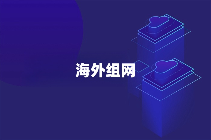 海外组网
