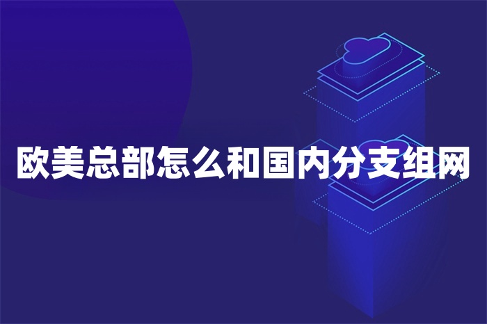 欧美总部怎么和国内分支组网