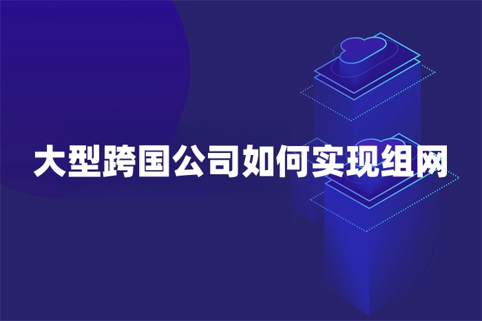 大型跨国公司如何实现组网