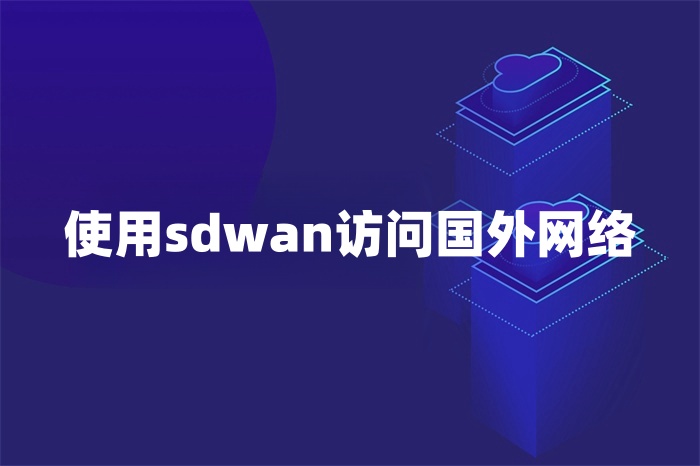 使用sdwan访问国外网络