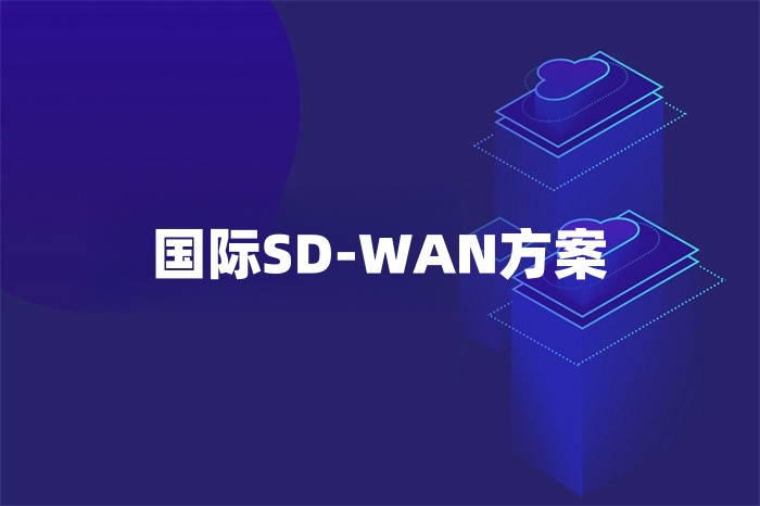 国际SD-WAN方案.jpg