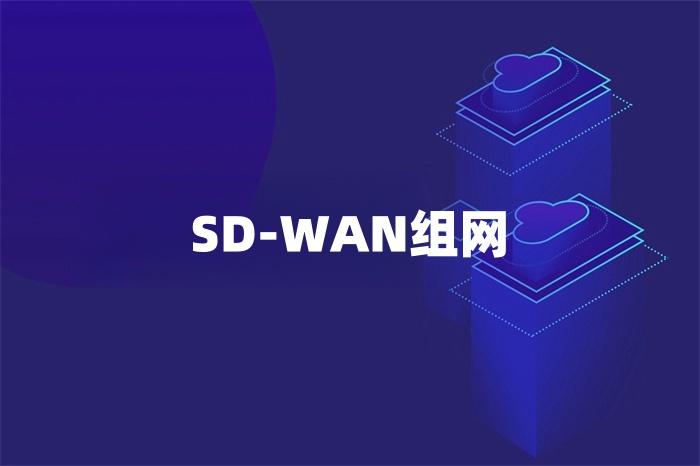 SD-WAN组网