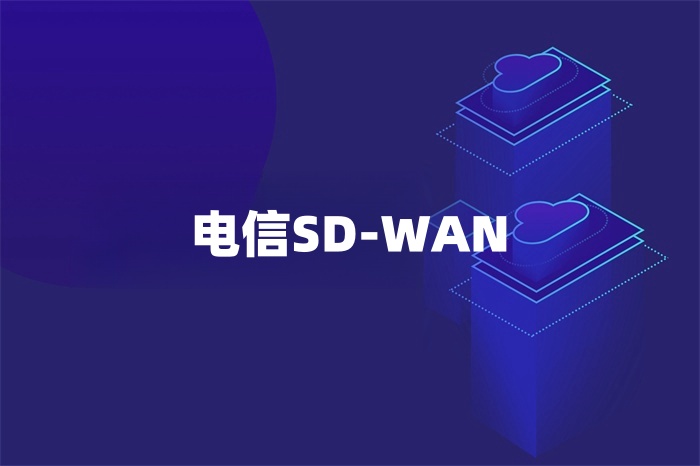 电信SD-WAN