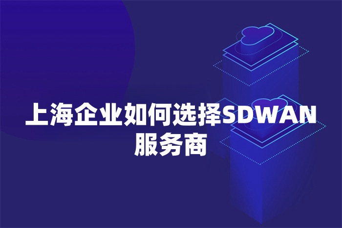 上海企业如何选择SD-WAN服务商