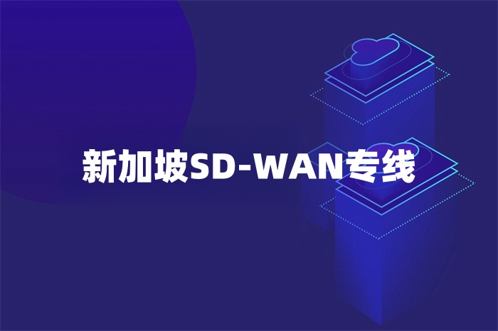新加坡SD-WAN专线