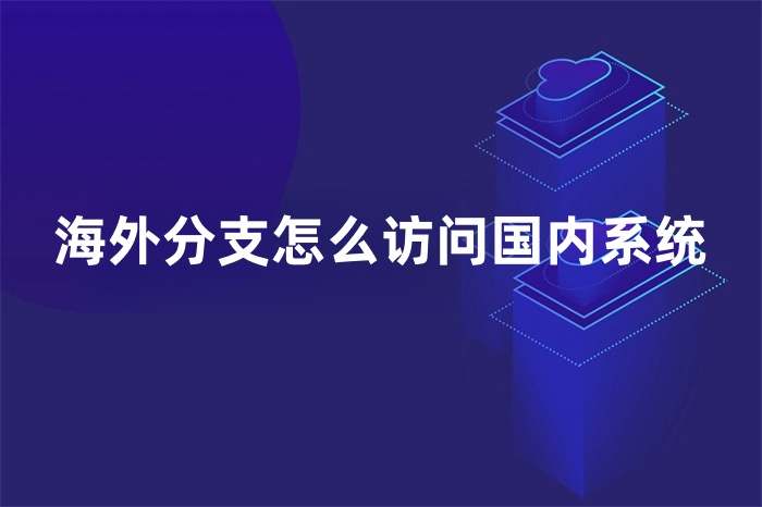 海外分支怎么访问国内系统
