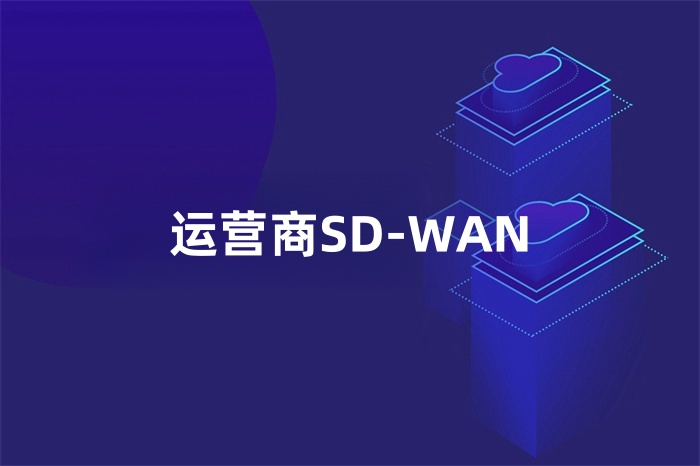 运营商SD-WAN