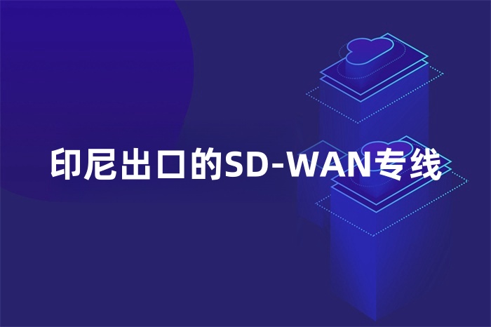 印尼出口的SD-WAN专线