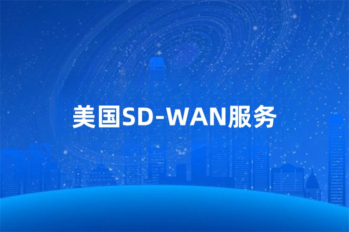 美国SD-WAN服务