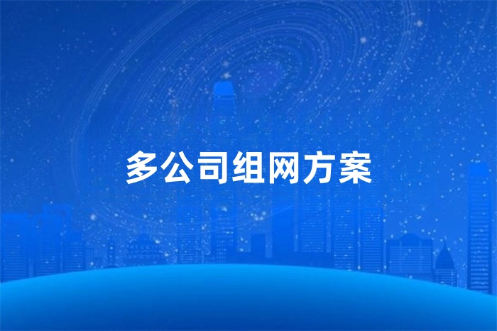 多公司组网方案
