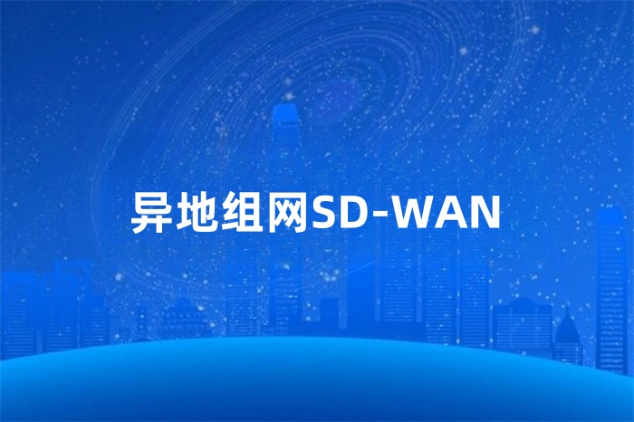 异地组网SD-WAN