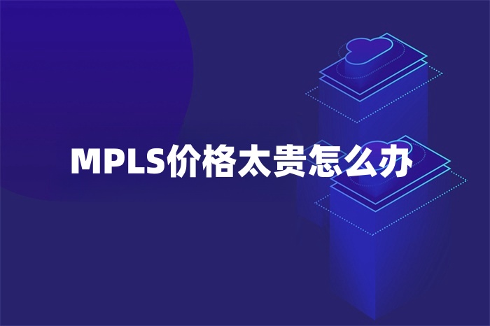 MPLS价格太贵怎么办