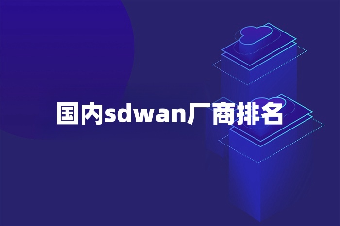 国内sdwan厂商排名