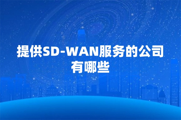 提供SD-WAN服务的公司有哪些