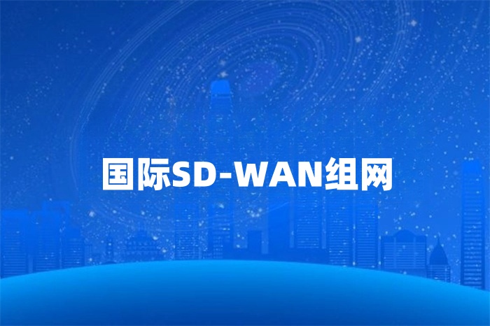 国际SD-WAN组网