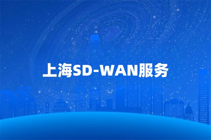 上海SD-WAN服务